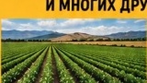 Сельское хозяйство